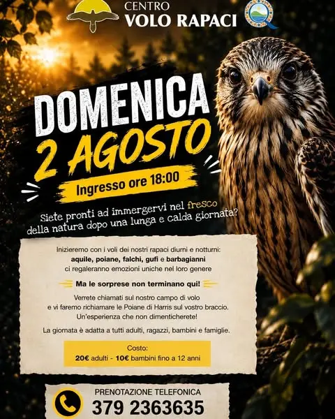 DOMENICA 02 Agosto • ORE 18:00 🦅
Centro Volo Rapaci – Trevignano Romano

Siete…