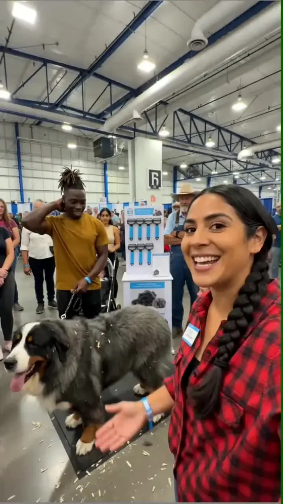 Pet Pro Grooming Tool