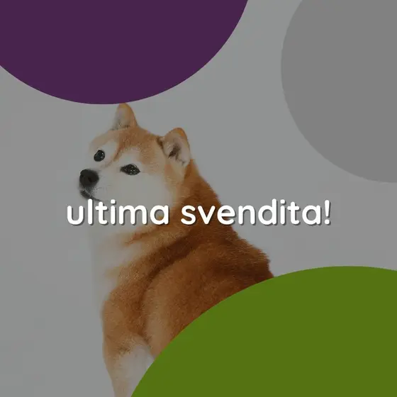 🚨 ULTIMA SVENDITA PETS AND THE CITY 🚨

Abbiamo svuotato il magazzino 😱
Onlin…