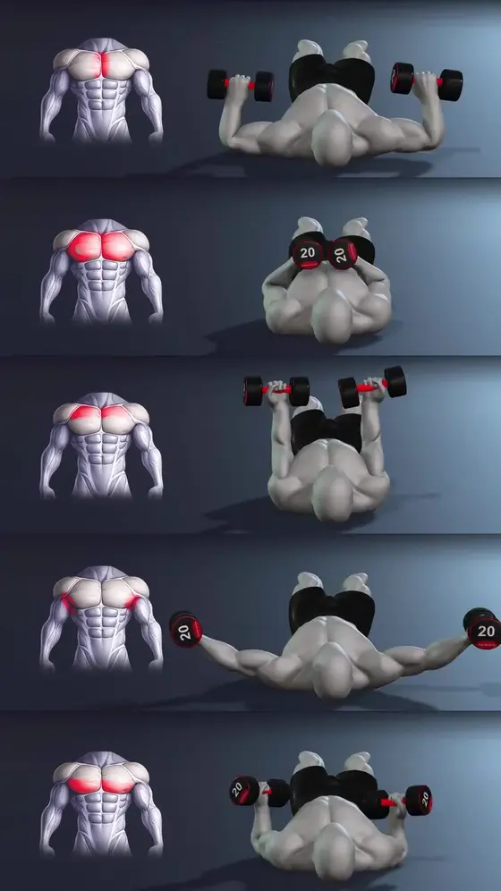 The Best Gym Workout App