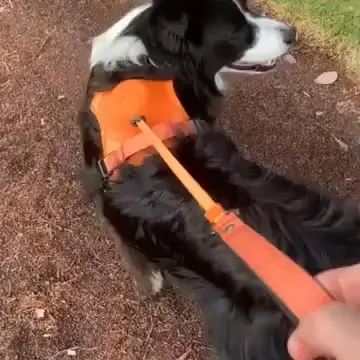 Snug Fit, No Stress