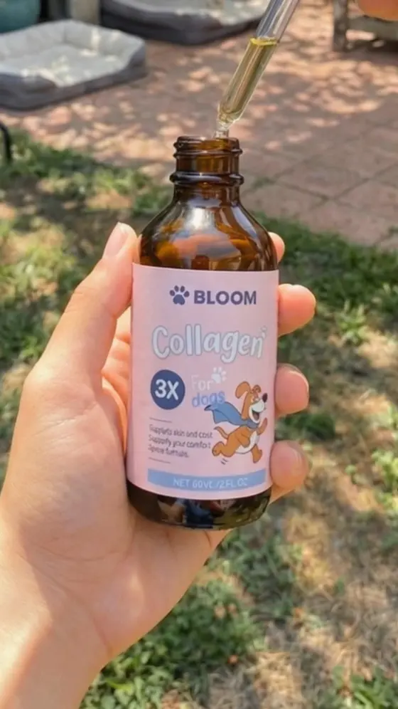 Help your dog feel themselves again 🐶