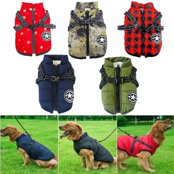 Winter Warmth for Your Furry Friend