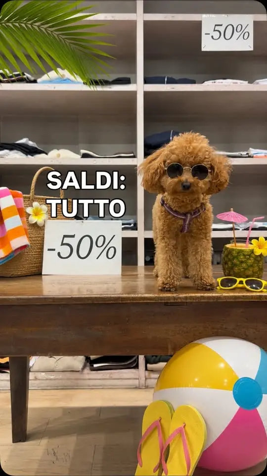 SALDI: TUTTO -50%