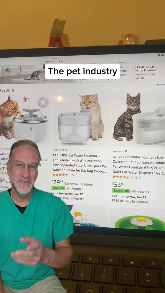 The #1 Vet Recommended Cat Fountain