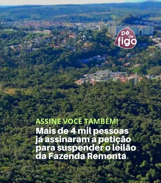 𝙋𝙚́ 𝙙𝙚 𝙁𝙞𝙜𝙤 - 𝘿𝙞𝙜𝙖 𝙉𝘼̃𝙊 𝙖𝙤 𝙡𝙚𝙞𝙡𝙖̃𝙤 𝙙𝙖 𝙁𝙖𝙯𝙚𝙣𝙙𝙖 �…