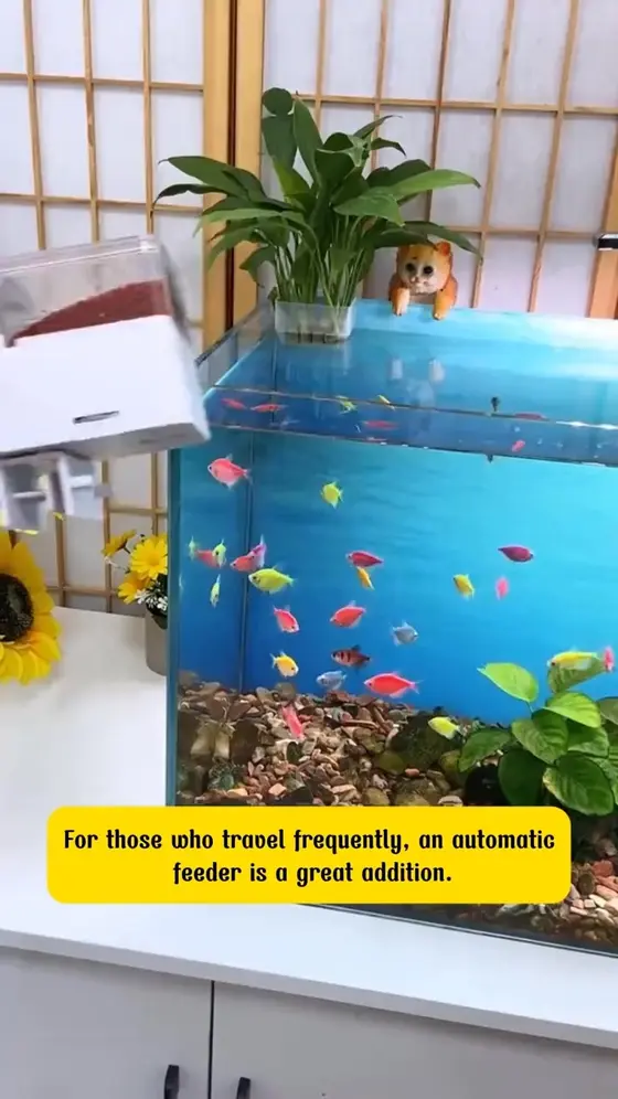 ⏰ Auto Fish Feeder – Built-in Timer, Perfect for Busy Owners | Up to 30 Days 🗓️