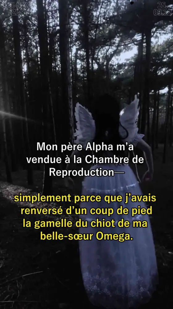 📚📚《La vengeance d'une héritière alpha brisée 》IL FAUT ENCORE PAYER POUR LIRE…