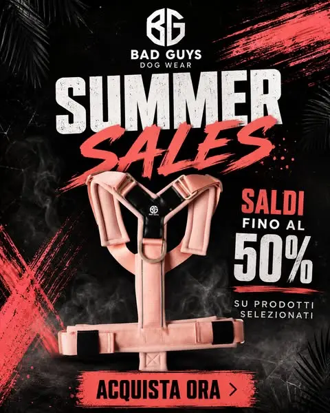 BadGuysDogWear -Accessori per cani,Collari per cani,guinzagli per cani