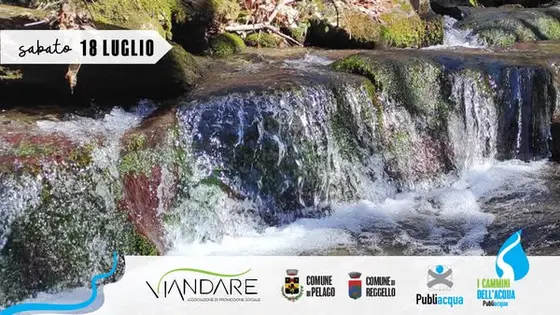 Anello di Tosi - in occasione del Festival della Cultura di Reggello (evento gr…