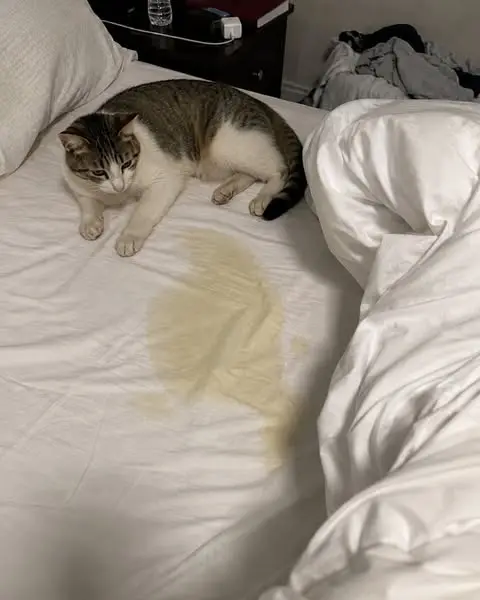 My Sweet Boy Died In My Arms😭💔